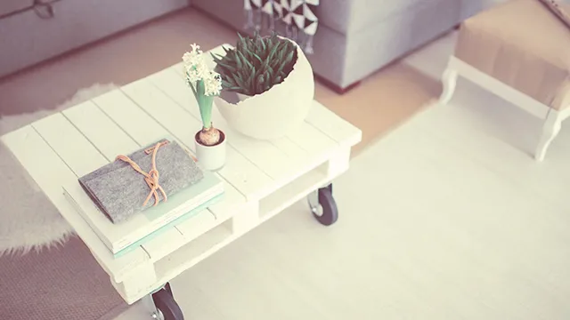 Interior Designer